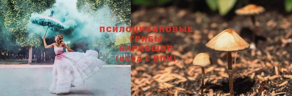 a pvp Алзамай