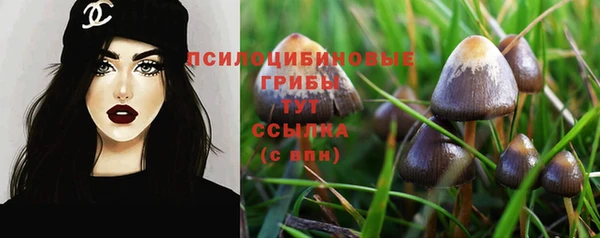a pvp Алзамай