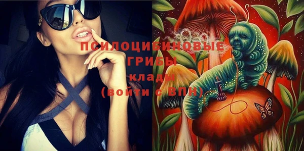 a pvp Алзамай
