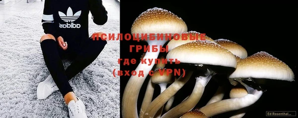 бошки Алексин